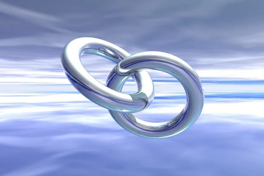 netlinking