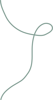 Vector 46