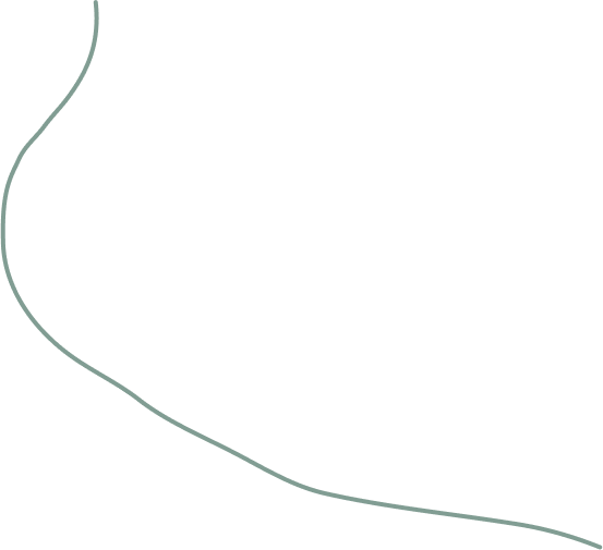 Vector 47